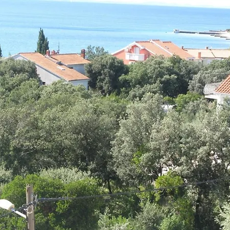 Apartment Mirela Petrcane