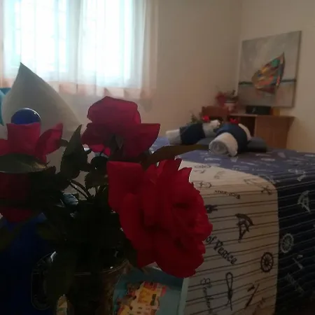 Mirela * Петрчане